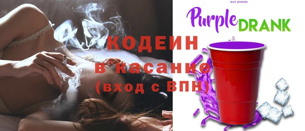 амф Козельск