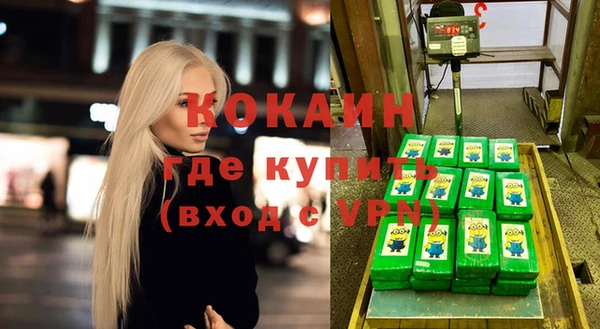 бошки Коряжма