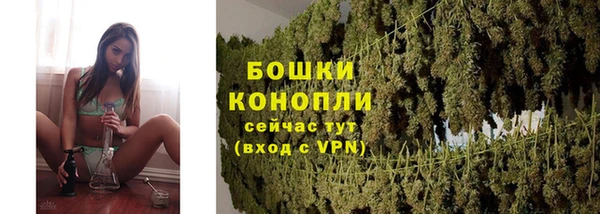 бошки Коряжма