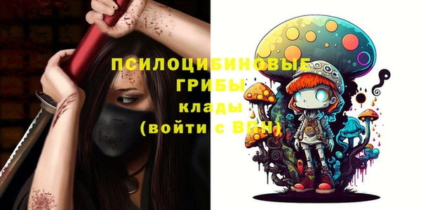 бошки Коряжма