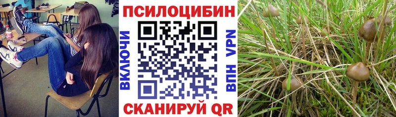 Псилоцибиновые грибы прущие грибы  Киржач 