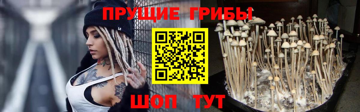 Псилоцибиновые грибы прущие грибы  наркота  Галлюциногенные грибы мицелий  Киржач  Вход с VPN 