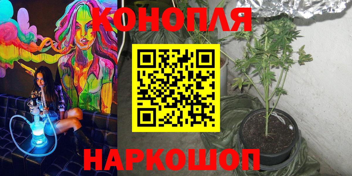 Бошки Шишки THC 21% Киржач